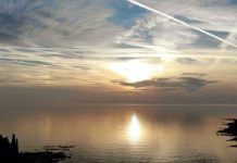 Πλωτά πτερύγια στο λιμάνι του Λος Άντζελες μετατρέπουν τα κύματα του ωκεανού σε ηλεκτρική ενέργεια