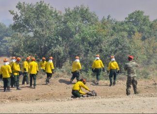 Αρχίζει στις ΗΠΑ η εκπαίδευση των πρώτων Ελλήνων δασοκομάντος
