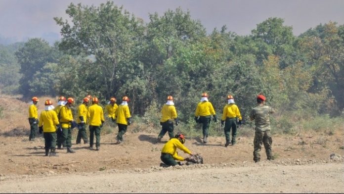 πυροσβέστες