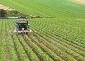 ΥΠΑΑΤ: Πόροι 500 εκατ. ευρώ από το Ταμείο Ανάκαμψης και Ανθεκτικότητας για ιδιωτικές επενδύσεις στον αγροτικό τομέα