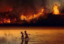 Αμαζόνιος: Μία καταστροφή εν εξελίξει, ένας εφιάλτης για τον πλανήτη