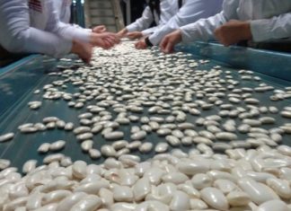 Τρίκαλα: Κλιματική αλλαγή και οι επιπτώσεις στην καταπόνηση των εργαζομένων