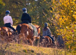Γαστρο-αγροτουρισμός: Στα 17 εκατ. ευρώ η δαπάνη για την προώθησή του – Κορυφαίοι ελληνικοί προορισμοί