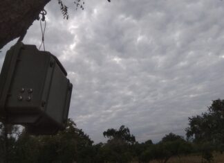 Θεσσαλονίκη: Ακουστικοί αισθητήρες στα δάση για την προστασία του περιβάλλοντος