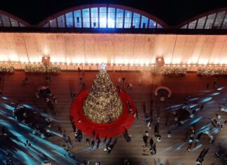 Ελληνικό: Σε 12 Δήμους μεταφυτεύονται τα 180 έλατα του χριστουγεννιάτικου δέντρου του Experience Park