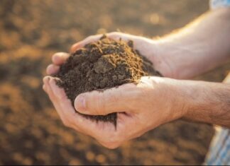 Πρέπει να καλλιεργούμε όσο περισσότερο μπορούμε για να διασφαλίσουμε την επισιτιστική ασφάλεια