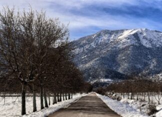 Τη χρηματοδότηση έργων στον Δήμο Βόλβης ανακοίνωσε ο υπουργός Στέλιος Πέτσας
