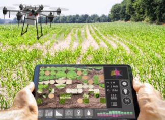 Σε δημόσια διαβούλευση το έργο «Ψηφιακός Μετασχηματισμός του Γεωργικού Τομέα»