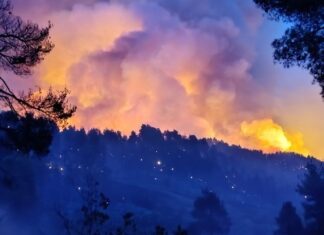 O καπνός από τις δασικές πυρκαγιές και οι επιπτώσεις στην υγεία