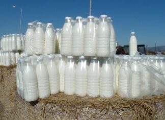 Συμφωνία συμμετοχής της εταιρείας «Ελληνικά Γαλακτοκομεία» στο μετοχικό κεφάλαιο της γαλακτοβιομηχανίας «Κουρούσιης»