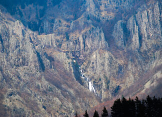 Παρθένο δάσος Φρακτού: Εκεί όπου τα δέντρα πεθαίνουν όρθια