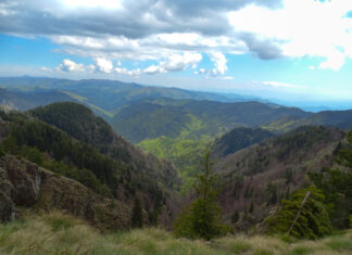 Τo πρώτο βήμα για την Εθνική Βάση Δεδομένων κάνει η Πολιτική Προστασία