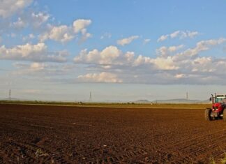 ΕΤΒΑ ΒΙΠΕ: Συζήτηση για την καινοτομία και τις νέες προκλήσεις στον αγροδιατροφικό τομέα