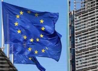 European Newsroom: Ο νόμος της ΕΕ για την αποψίλωση των δασών αντιμετωπίζει νέα προβλήματα, καθώς οι εταιρείες προειδοποιούν για οικονομικές επιπτώσεις