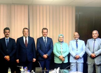 Ξεκινούν οι μελέτες κόστους-οφέλους για την ηλεκτρική διασύνδεση Ελλάδας-Αιγύπτου