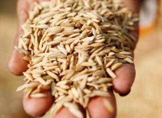 Ζημιές σε αποθήκες και σιλό δημητριακών από ρωσικές επιθέσεις στο λιμάνι της Ουκρανίας στον Δούναβη