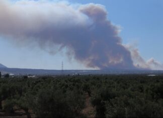 Οι γιγαντιαίες πυρκαγιές προκάλεσαν πελώριες εκλύσεις CO2 πέρυσι
