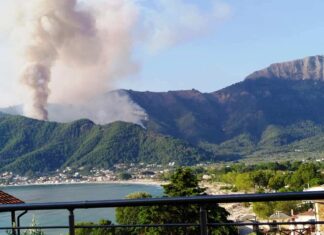 Θάσος: Ψυχραιμία συνιστούν οι φορείς του τουρισμού στο νησί και αισιοδοξούν ότι η φωτιά θα τεθεί υπό έλεγχο