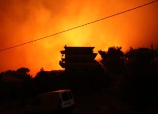 Ενεργοποιείται η πλατφόρμα arogi.gov.gr για τους πληγέντες από την πυρκαγιά στην Πεντέλη