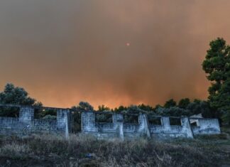 Αραβώσης: Πρωτόγνωρη ταχύτητα για το μεγαλύτερο πρόγραμμα αποκατάστασης πυρόπληκτων περιοχών
