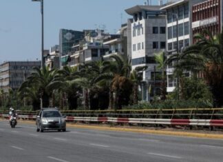 Αλλάζει όψη η Λ. Συγγρού – Φυτεύτηκαν 300 φοίνικες