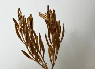 Στον Δήμο Πειραιά το 1ο Βραβείο στα “Green Awards” για τα Ολοκληρωμένα Προγράμματα Ανακύκλωσης