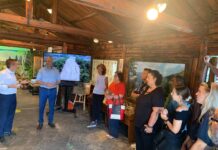 Γ. Αμυράς: Αναδάσωση με 42.500 πλατύφυλλα στο Σέιχ Σου