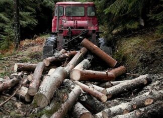 Χρήση ξύλου στις κατασκευές: Οι αρχιτέκτονες στρέφονται στην επιστήμη για σύγχρονες μεθόδους προστασίας