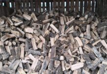 Δασμούς 10% στις εισαγωγές ξυλείας επιβάλλουν οι ΗΠΑ