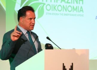 Αδ. Γεωργιάδης: Τα επόμενα 4-6 χρόνια θα είναι χρόνια κοσμογονίας στο δίκτυο και στις επενδύσεις σε ΑΠΕ στην Ελλάδα