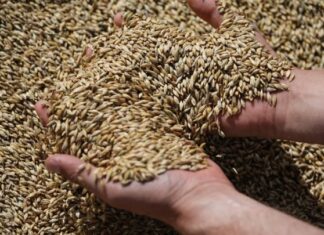 Κλιματική αλλαγή, πολεμικές συρράξεις και οικονομικές κρίσεις, οι κύριοι λόγοι για ευρεία επισιτιστική κρίση