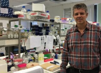 Έρευνα για βιοεντομοκτόνα με φυσικό «οπλοστάσιο», κατά του δάκου και των κουνουπιών από το Ινστιτούτο Μοριακής Βιολογίας και Βιοτεχνολογίας του ΙΤΕ