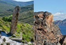 Απολιθωμένο δάσος Λέσβου – Ηφαιστειακή καλδέρα Σαντορίνης, στα πρώτα 100 μνημεία παγκόσμιας Γεωλογικής Κληρονομιάς