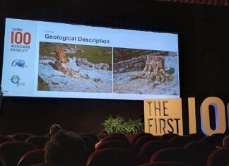 Μυτιλήνη: Το απολιθωμένο δάσος Λέσβου από σήμερα στα πρώτα 100 Μνημεία Γεωλογικής Κληρονομιάς