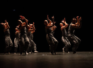 Θεσσαλονίκη: Αναγκαία η θεσμική προστασία του τελευταίου ελεύθερου ποταμού στην Ευρώπη, του Αώου