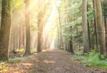 Προορισμοί της Ελλάδας που ευνοούν τον περιπατητικό τουρισμό