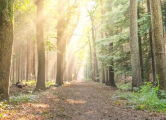 Προορισμοί της Ελλάδας που ευνοούν τον περιπατητικό τουρισμό