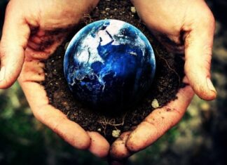 The Green Tank: Πώς μπορούν τα κράτη μέλη της ΕΕ να εφαρμόσουν μια πετυχημένη πολιτική για την αποκατάσταση της φύσης;