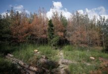 Τεχνολογικές υποδομές ευρυζωνικότητας αλλάζουν τον χάρτη της ελληνικής υπαίθρου