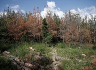 Τεχνολογικές υποδομές ευρυζωνικότητας αλλάζουν τον χάρτη της ελληνικής υπαίθρου