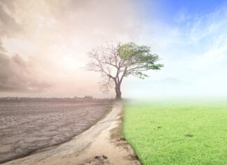 Κλιματική Αλλαγή: Δυστοπικό το μέλλον της Ελλάδας αν δεν ληφθούν μέτρα – Τι δείχνει η μελέτη της ΤτΕ