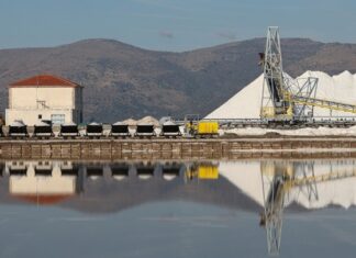 Αφιέρωμα: Αλυκή Πολιχνίτου στη Λέσβο, ένας ξεχωριστός υγροβιότοπος (βίντεο)