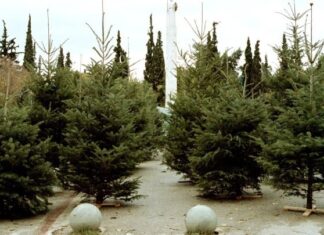 Ικανοποιημένοι με τις πωλήσεις τους οι ελατοπαραγωγοί Ταξιάρχη