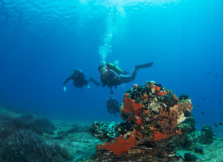 Μνημόνιο για την φύλαξη της θαλάσσιας προστατευόμενης περιοχής της Γυάρου