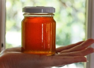 Δραματική μείωση της παραγωγής πευκόμελου στην Κρήτη – Τι φοβούνται οι παραγωγοί, τι λένε οι επιστήμονες