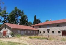 Σε πλήρη εξέλιξη τα έργα στο Π. Βασιλικό κτήμα στο Τατόϊ με ορίζοντα απόδοσης των μουσειακών υποδομών το 2026