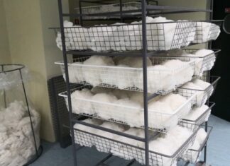 Βελτίωση της ανταγωνιστικότητας του ελληνικού βαμβακιού με τη χρήση γεωργίας ακριβείας