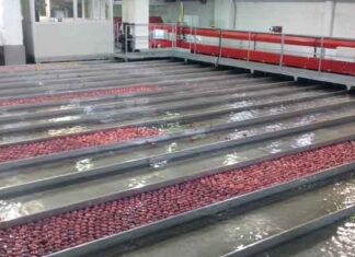 Τα μήλα «Ζαγορίν», θησαυρός του βορειανατολικού Πηλίου