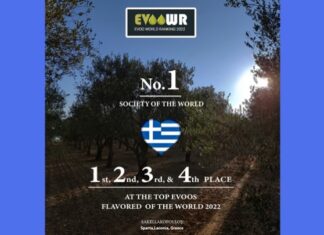 Την πρώτη θέση στον κόσμο κατέκτησε η Ελλάδα στο γαστρονομικό ελαιόλαδο