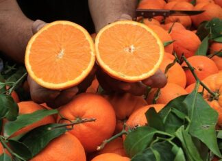 Κανονικά λειτουργούν σήμερα οι λαϊκές αγορές